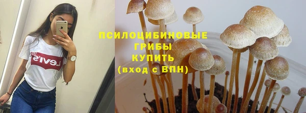 экстази Дмитриев