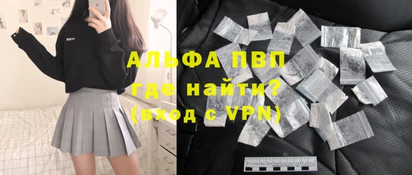 гашик Осташков
