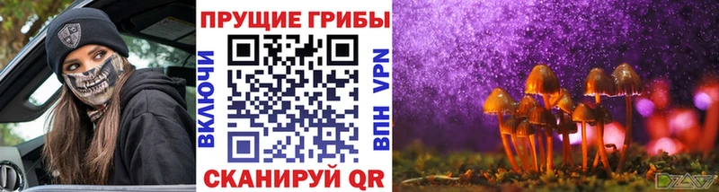 Галлюциногенные грибы Psilocybine cubensis Донецк